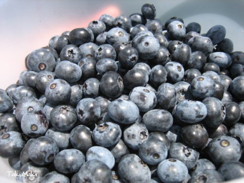 Blue Berry！！_c0060573_67377.jpg