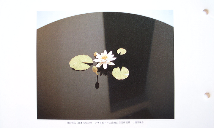図録 三つの個展 伊藤存×今村源×須田悦弘 現代美術 国立国際