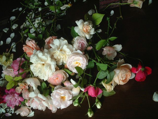 f0007106_1220027.jpg