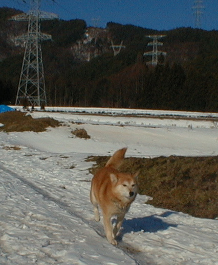 c0085508_21383827.jpg