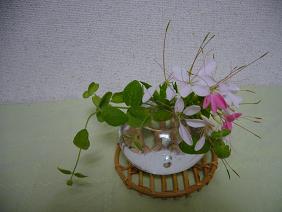e0049015_227581.jpg