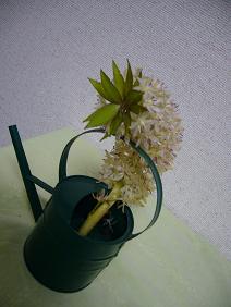 e0049015_2293583.jpg