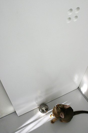 e0090124_941799.jpg