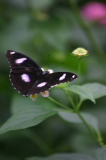 ネーミングは慎重に。_d0046025_1171839.jpg