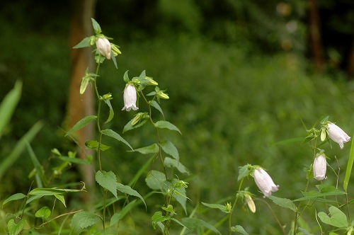 c0027027_2263764.jpg