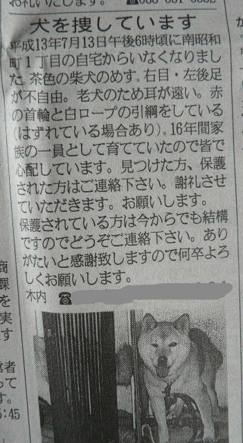 訪ね犬_e0060041_6503023.jpg