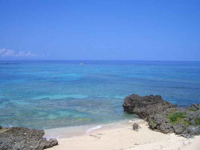 e0053660_92141.jpg