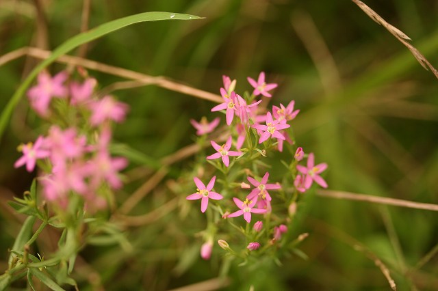 e0024081_13321870.jpg