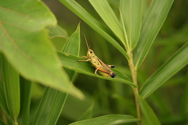 e0024081_13334512.jpg