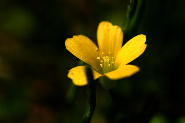 b0067789_2151287.jpg