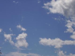 f0061493_1020138.jpg