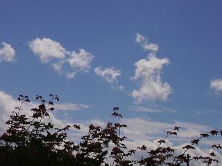 f0061493_1020216.jpg