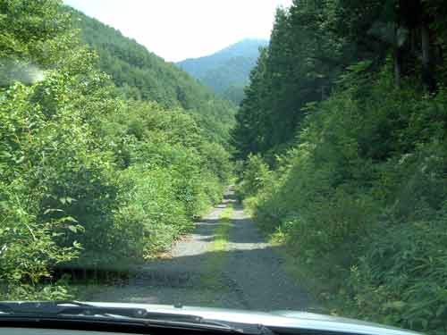 e0001110_231845.jpg
