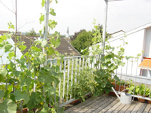 c0047812_18273080.jpg