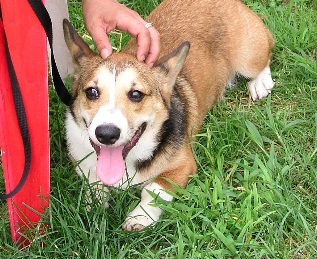 e0071225_111559.jpg