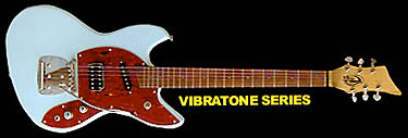 ビザ〜ル的面構えのVibratone_e0053731_1836197.jpg