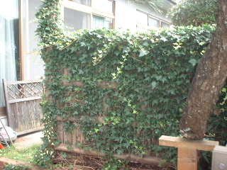ラティス工事_f0031037_19215137.jpg