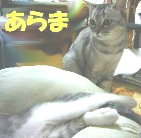 そこにいるのは_f0002743_2283197.jpg
