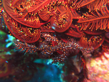 d0065247_13532347.jpg