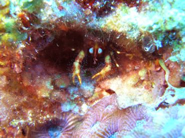 d0065247_1421439.jpg