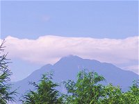 (勝手に)梅雨明け宣言_f0019247_23401564.jpg