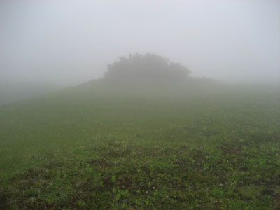 f0009457_22174543.jpg