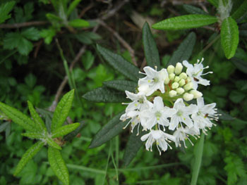 f0009457_22343785.jpg