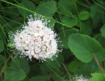 f0009457_22354267.jpg