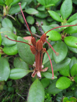 f0009457_22403359.jpg