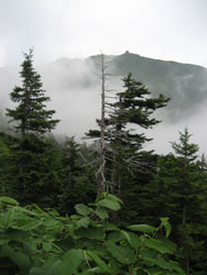 f0009457_2245444.jpg