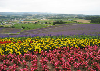 f0009457_2253267.jpg