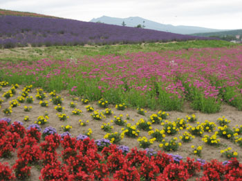 f0009457_22534164.jpg