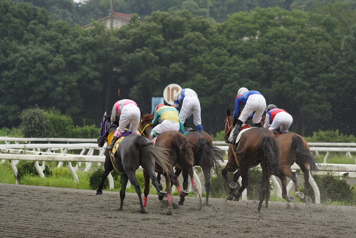 2006年7月22日（土） 高知競馬より_a0077663_1353462.jpg