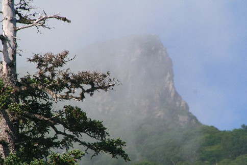 f0000866_54283.jpg