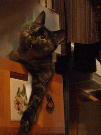b0039168_2473669.gif