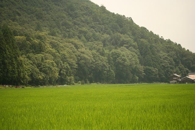 e0024081_13481160.jpg