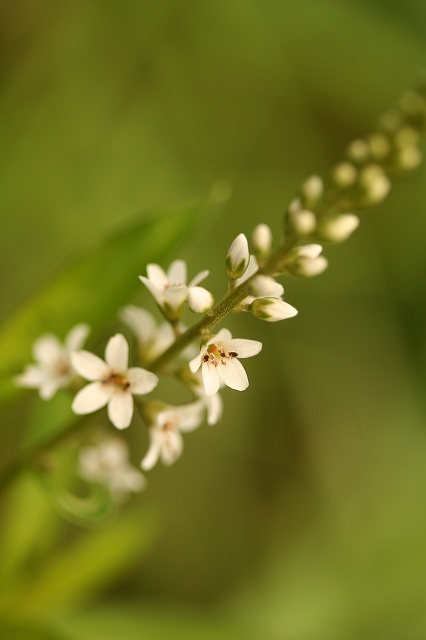 e0024081_13502483.jpg