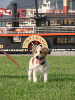 f0080105_014796.jpg