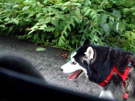 e0001110_23141991.jpg