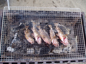 家族で海水浴_e0074935_694660.jpg