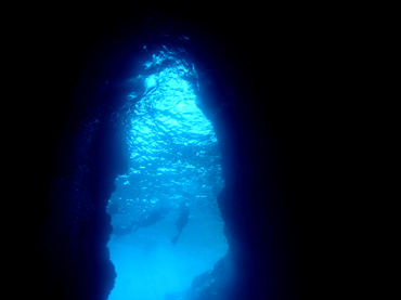 d0065247_17464756.jpg