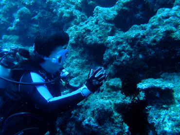 d0065247_17525391.jpg