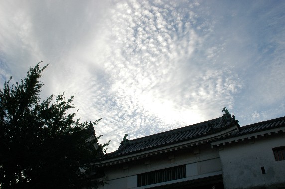　　和歌山城と雲　　３_b0093754_0562183.jpg
