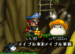 c0018454_1193584.gif