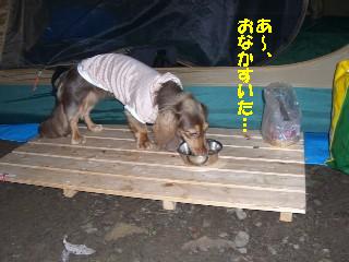 f0061056_16231816.jpg