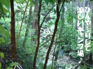 f0061056_1711309.jpg