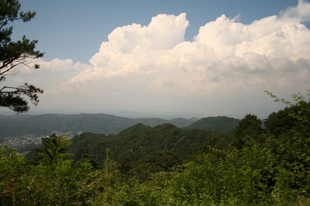 e0024081_17354486.jpg