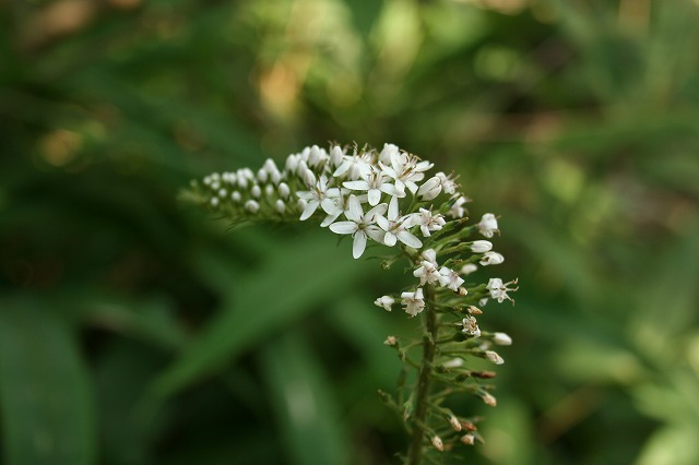 e0024081_17441495.jpg