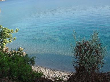 c0010496_1395761.jpg