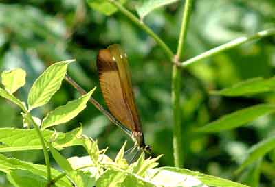 e0001110_22535670.jpg